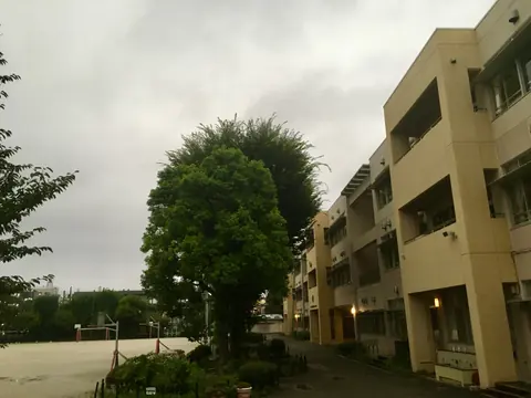光和小学校体育館の校舎外観
